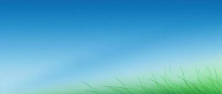 勤而进---烨森茂国际祝周末愉快！
