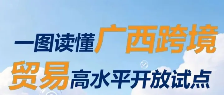 图解 | 何为广西跨境贸易高水平开放试点？