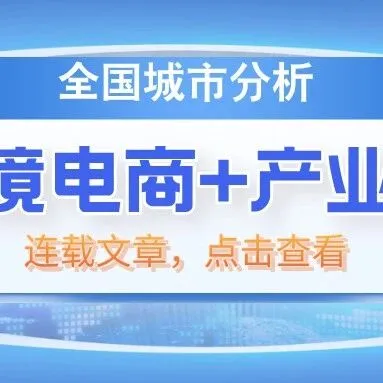 148.全国“跨境电商+产业带”城市分析(连载)——儋州市