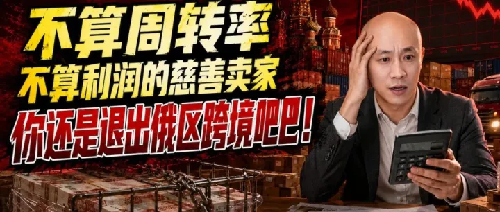 Ozon同样投入，这样搞一年多赚了19万！不算周转率你还是别搞了！