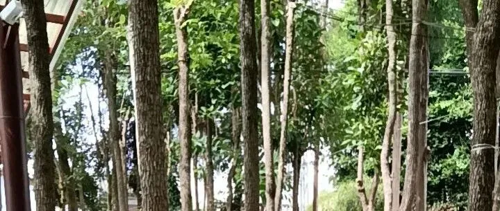 亚马逊新一轮验证邮件已送达！