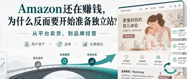 《Amazon还在赚钱，为什么仍要准备独立站？》