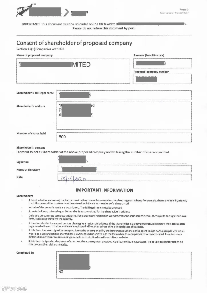插图Shareholder Consent Form_01 724x1024.png