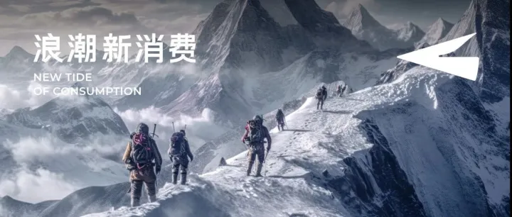 不等命运眷顾，这些品牌凭什么在寒冬持续壮大？