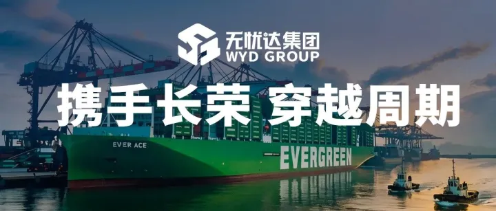 长荣海运高层莅临无忧达集团参观交流 解码2026美线运价拐点！
