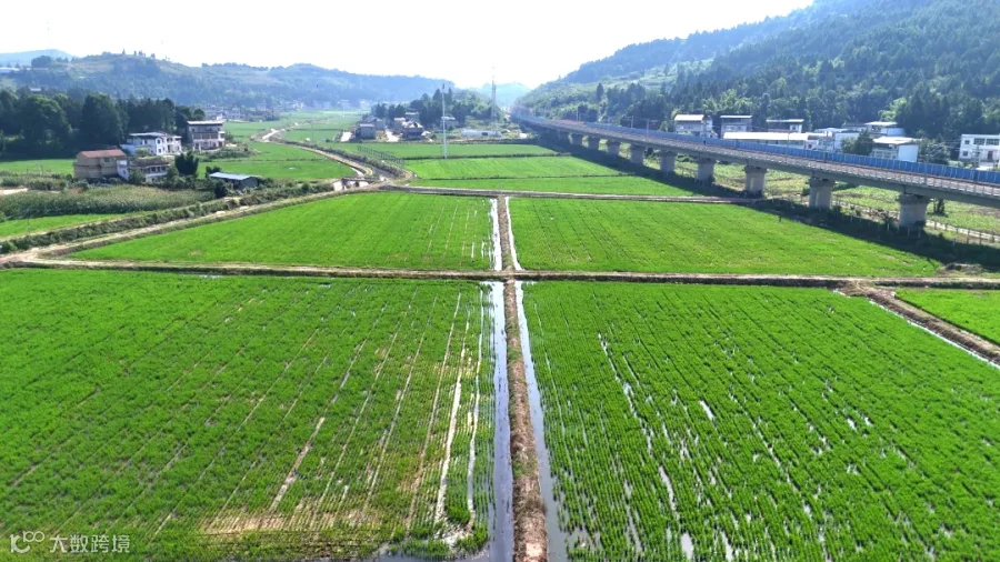 DJI_20260721092820_0380_D[00-00-03][20260729-153718441].jpg