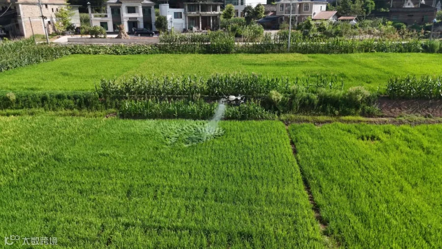 DJI_20260721093407_0391_D[00-00-04][20260729-153536486].jpg