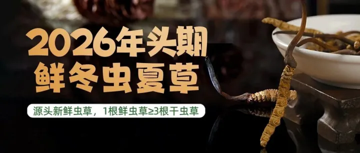 走最远的路，觅最真的草 | 苗家圆圆2026年那曲虫草溯源纪行