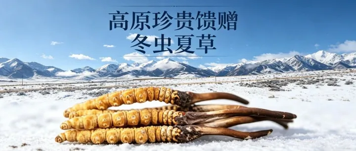 在风雪中，等待<em>那曲</em>最纯净的馈赠