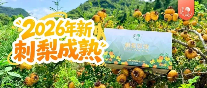 2026年刺梨鲜果季来啦，错过再等一年！