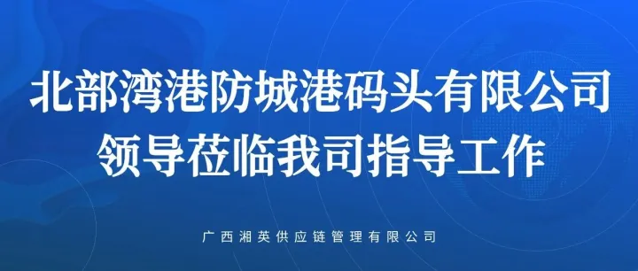 北部湾港<em>防城港</em>码头有限公司领导莅临我司指导工作