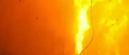美国爆了