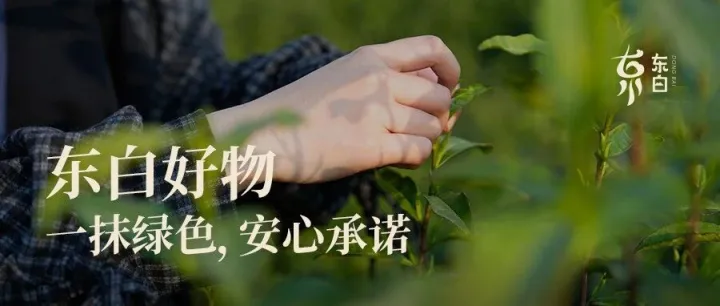一抹绿色，是山水写就的安心承诺
