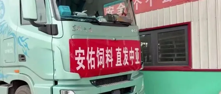 兰州新区本土饲料首次直发中亚！