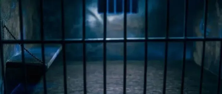 南非拟重新讨论未成年人司法体罚 部长称可替代短期监禁