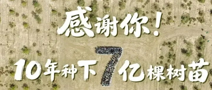 好巧，我们都是有树的人