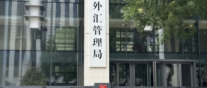 移民境外后，境内资产怎么办？《个人财产对外转移售付汇管理暂行办法》深度解读