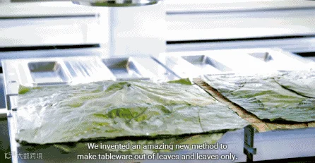 他.gif