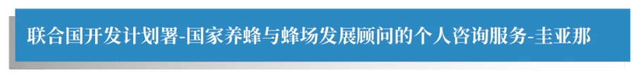 标题1_画板 1.png