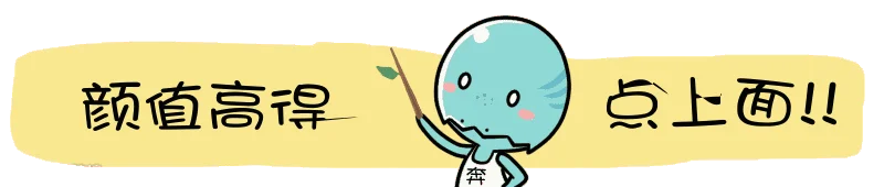 引导关注