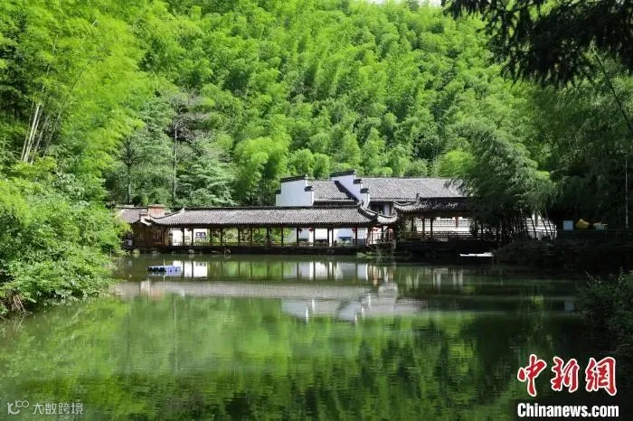 资料图:木坑竹海绿水青山宛如画境。汪伟平 摄