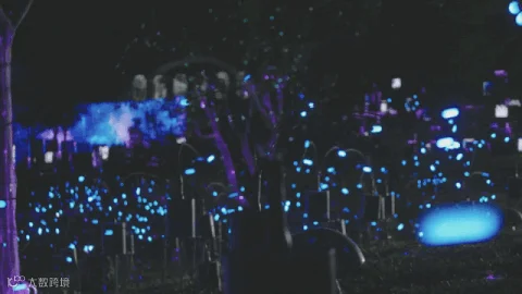 640 (8).gif
