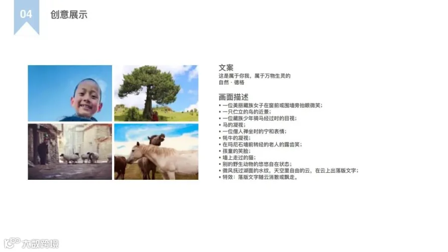 19.编剧组-四郎多登-回到自然里_14.jpg