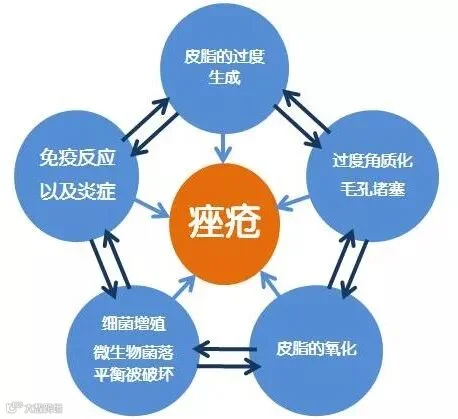 1712012051.png