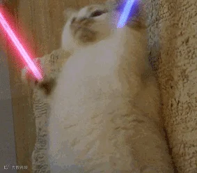 20191230135709_17233.gif