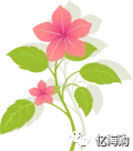 分割线