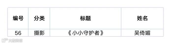 市民组一等奖.png