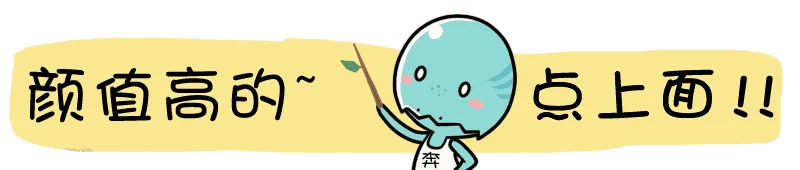 引导关注