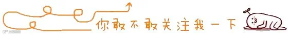 引导关注