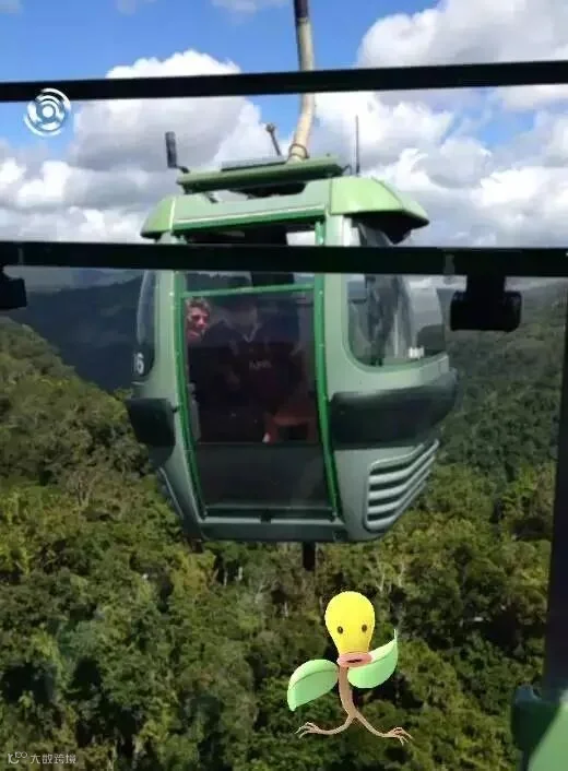 BELLSPROUT.JPG