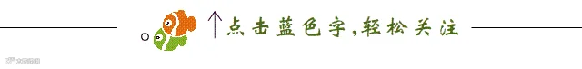 小鱼引导关注图