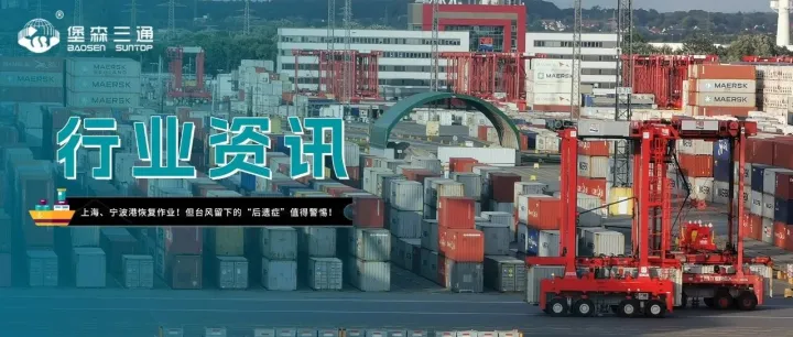 上海、宁波港恢复作业！但台风留下的“后遗症”值得警惕！