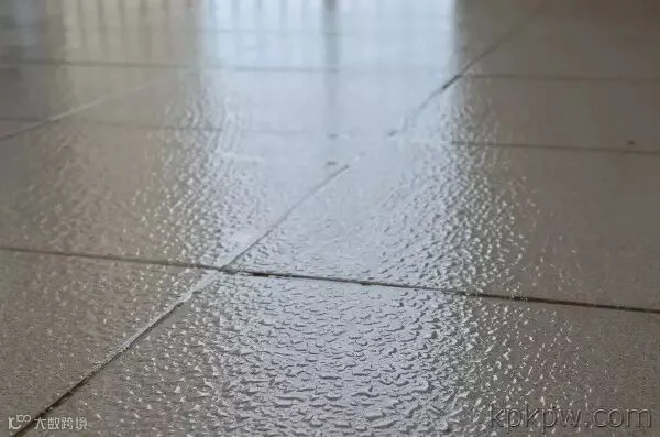 1489476155823284.jpg