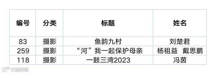 市民组二等奖.png