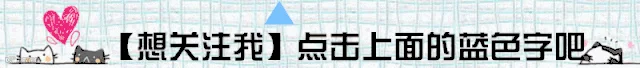 顶部引导关注