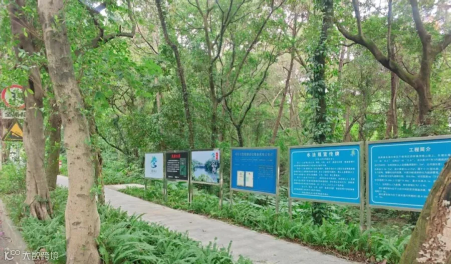 西樵东湖水库现场1.jpg