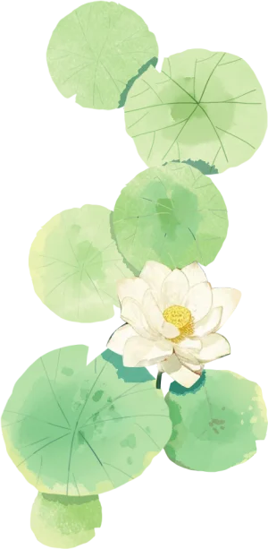 组 23.png