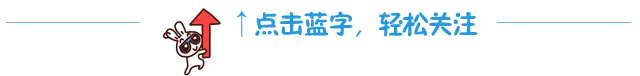 兔子红箭头引导关注