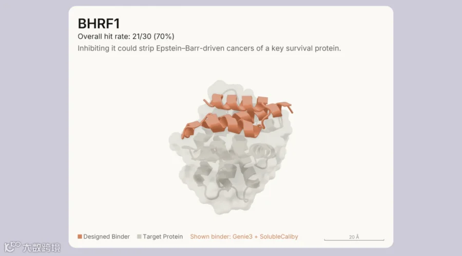 Protein Design Experiment Results