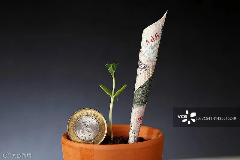 植物幼苗与金钱增长概念图片素材