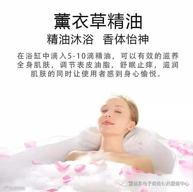 薰衣草2怡神.jpg