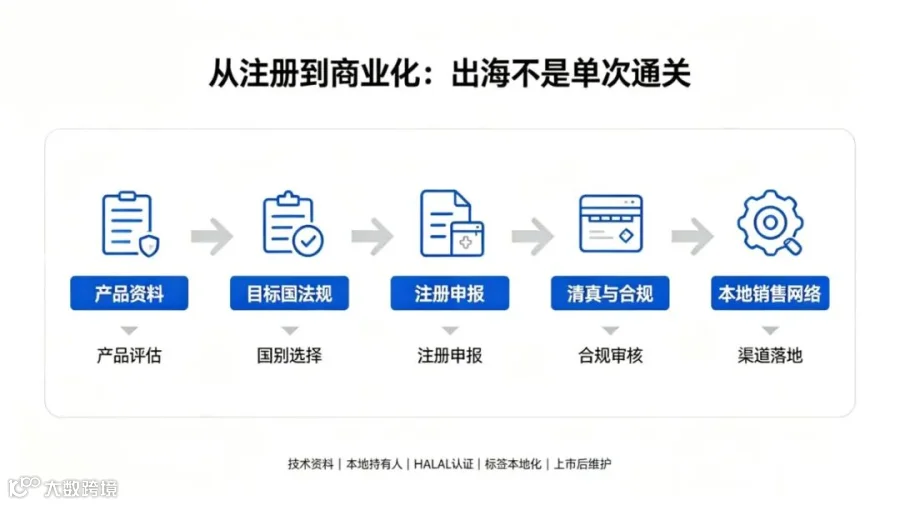 ce376e3680326778843187cb45cfbe2c.jpg