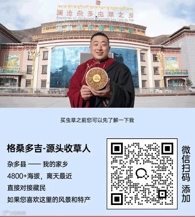 每天十点的.jpg