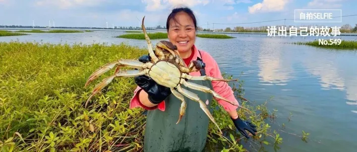 我，不服输的扬州女人，砸六万块买一台秤，就为了称一只螃蟹
