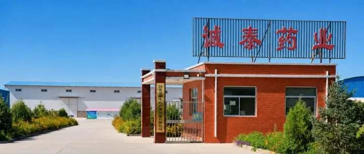 立足河西药源腹地，诚泰药业探索原料端供应链新范式