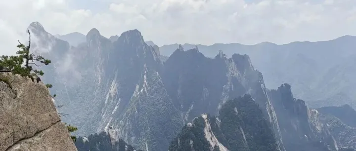 李西岐 | 观尹沧海教授华<em>山南</em>峰对景造画有感